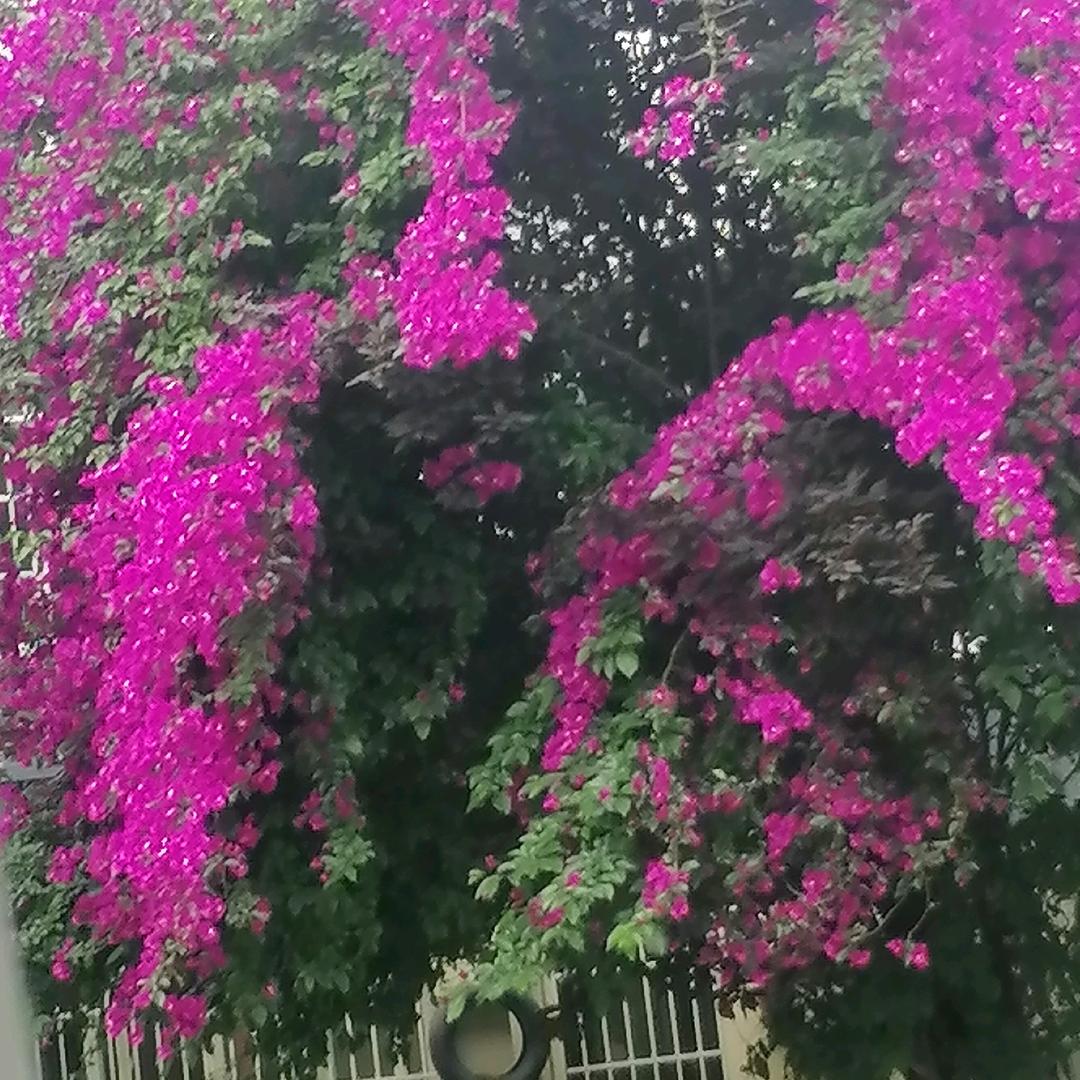 溪溪8107