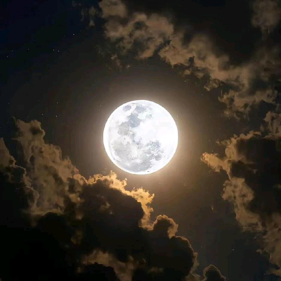 🌕🌕101258