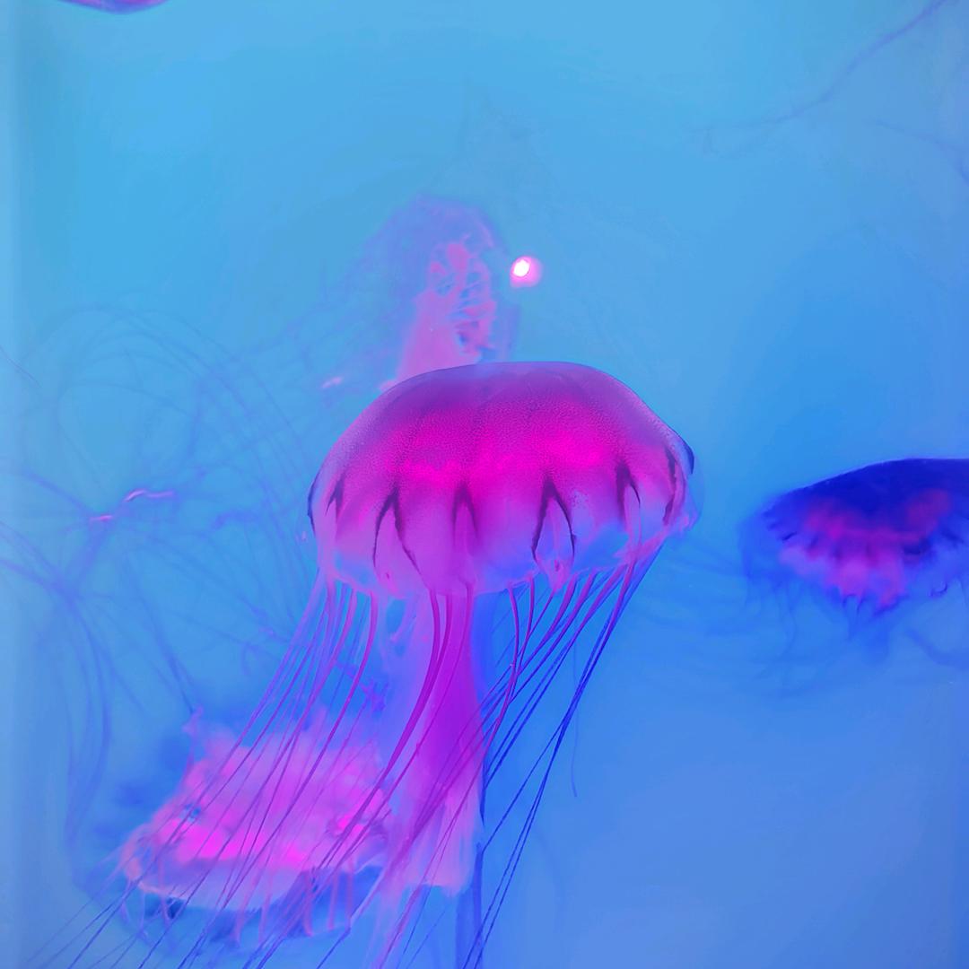精选爆款穿搭