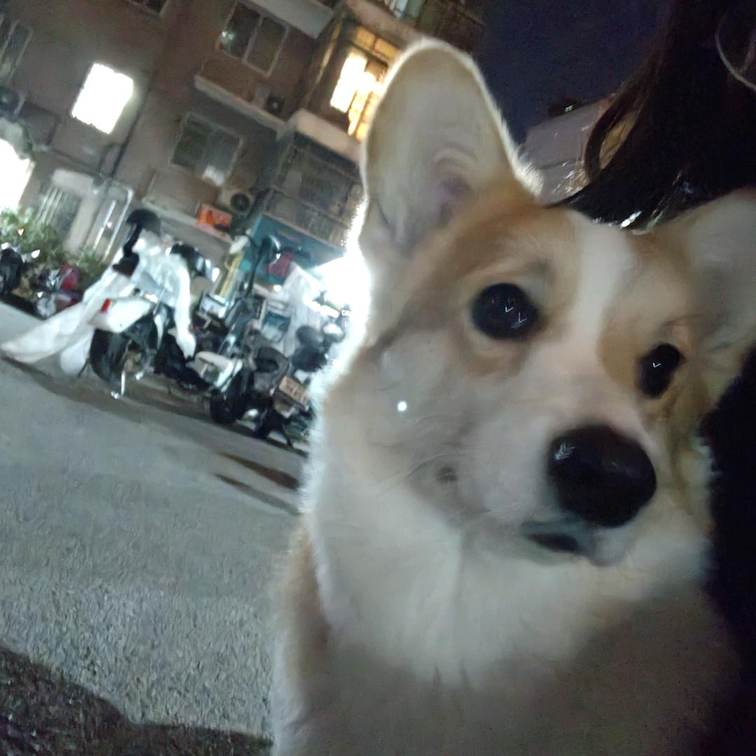 小小怪下士