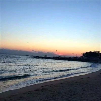 惠煌酪研433515号