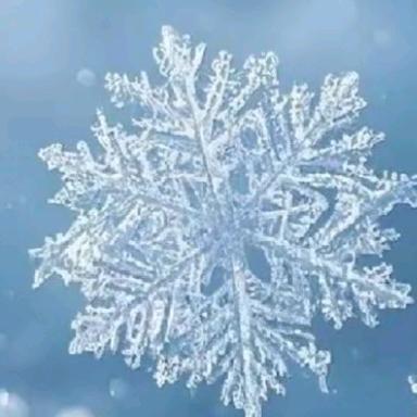冬天的雪花❄️