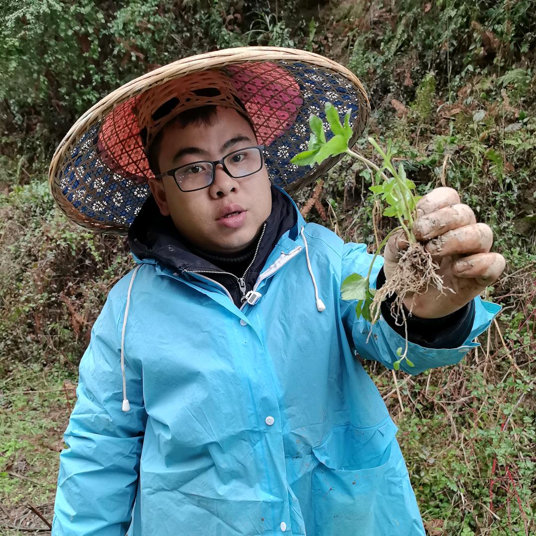 小杨赶集