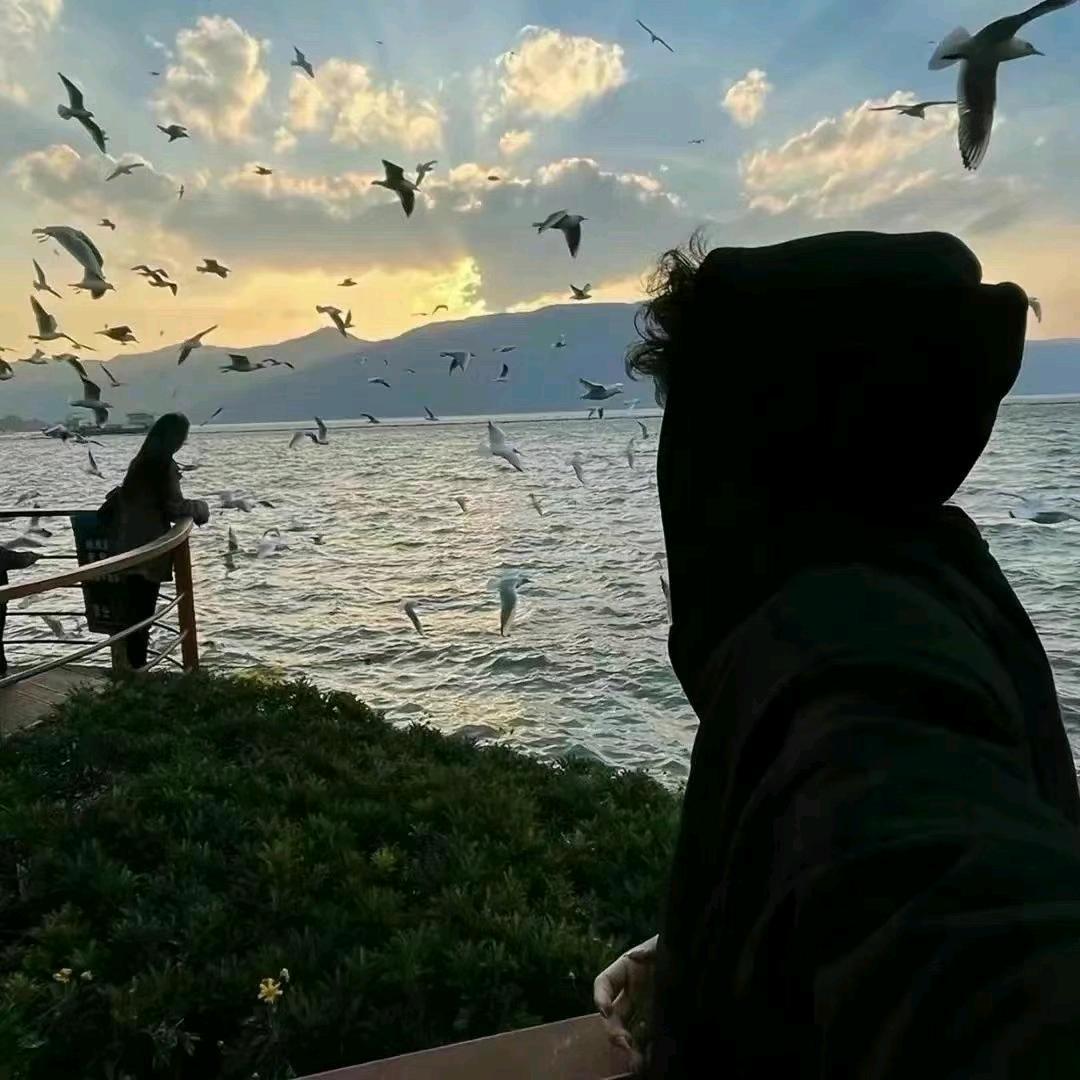 和平精英夕阳