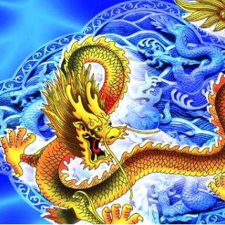 龙的传人