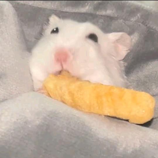 飞煌百货
