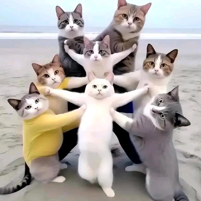 何宣卫