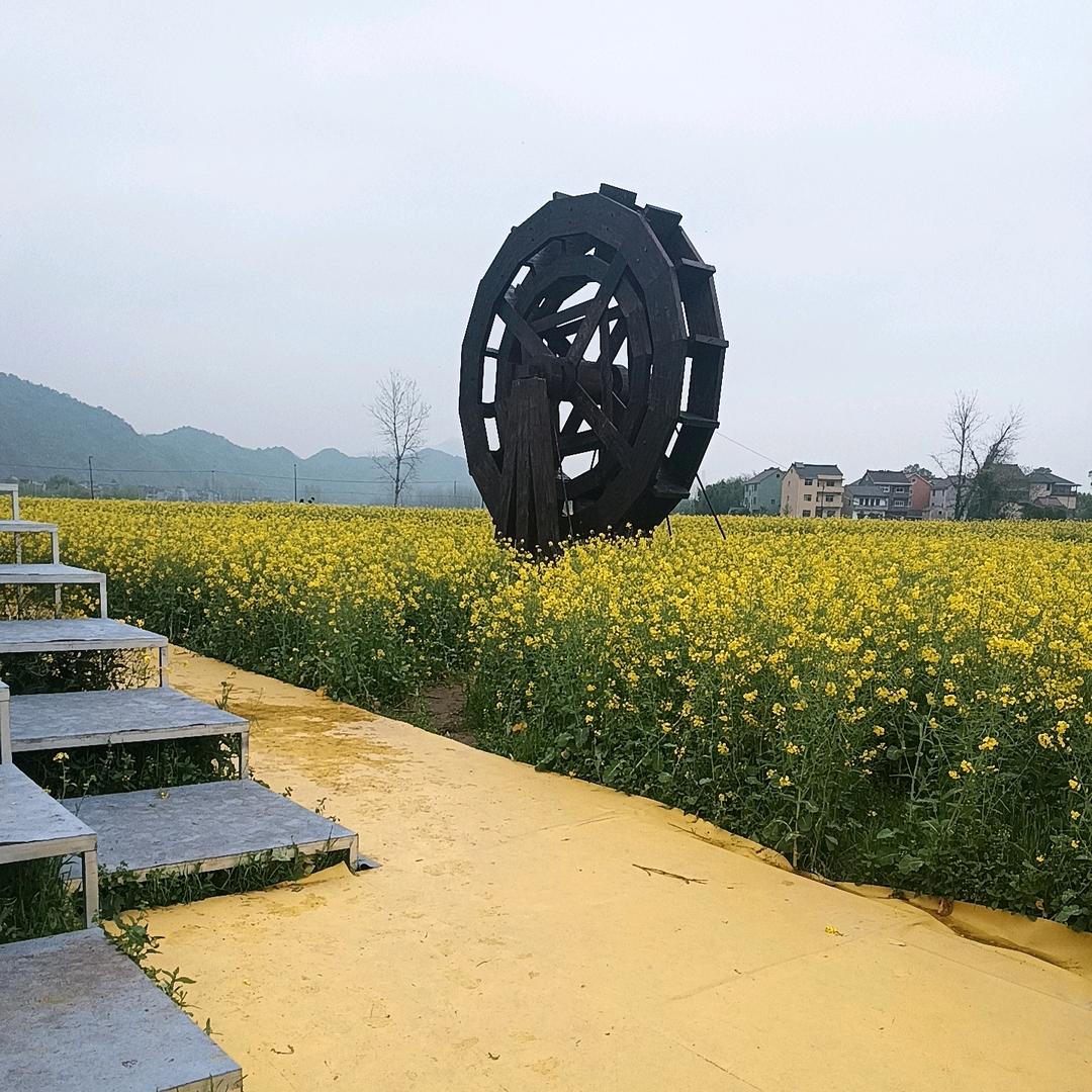 云🎶芸🌞妞🌙✨