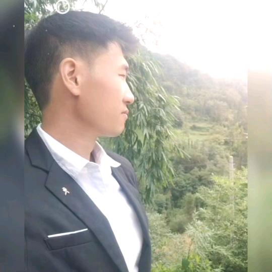 情哥哥