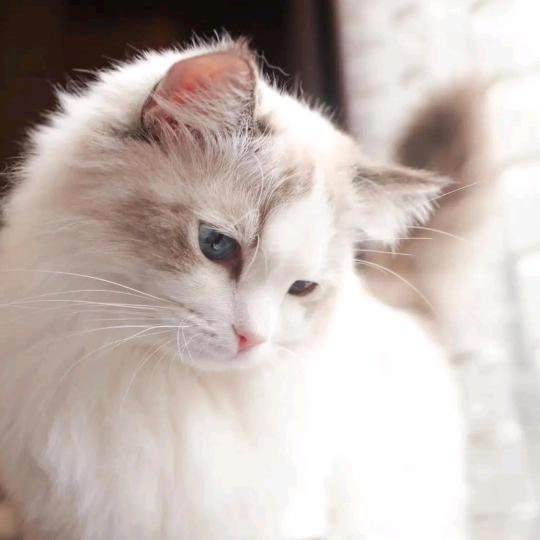 ₅₂₀💞࿐苗准点陈浸式꧔ꦿ࿐้