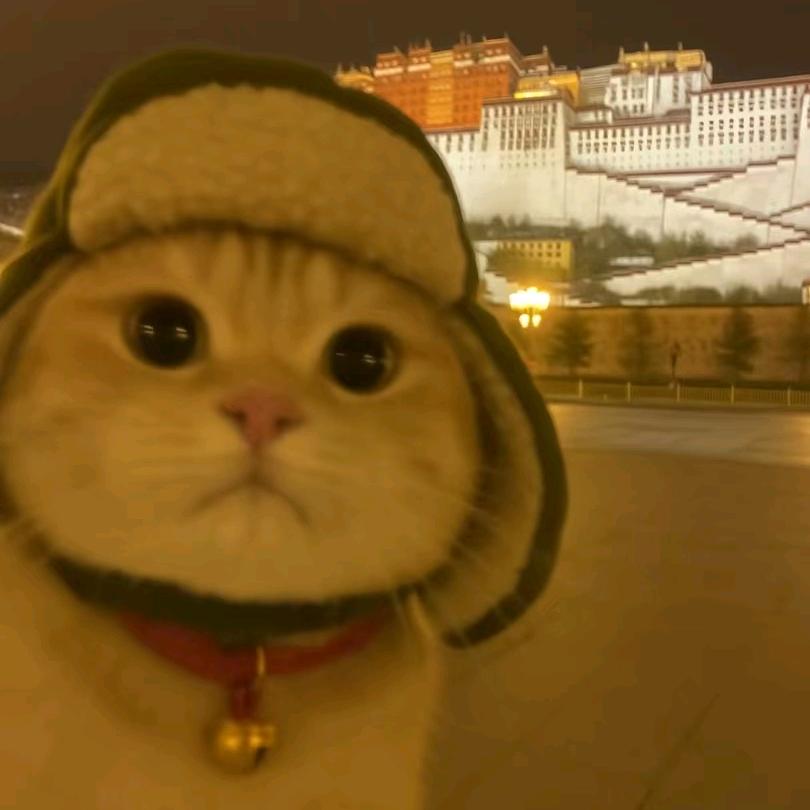 江晚晚💫
