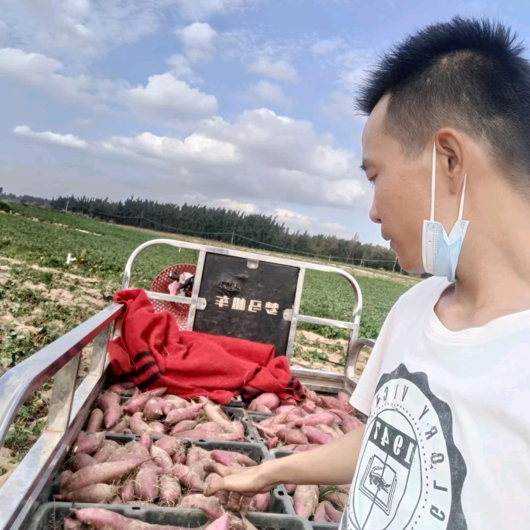 海南，小李（桥头地瓜）