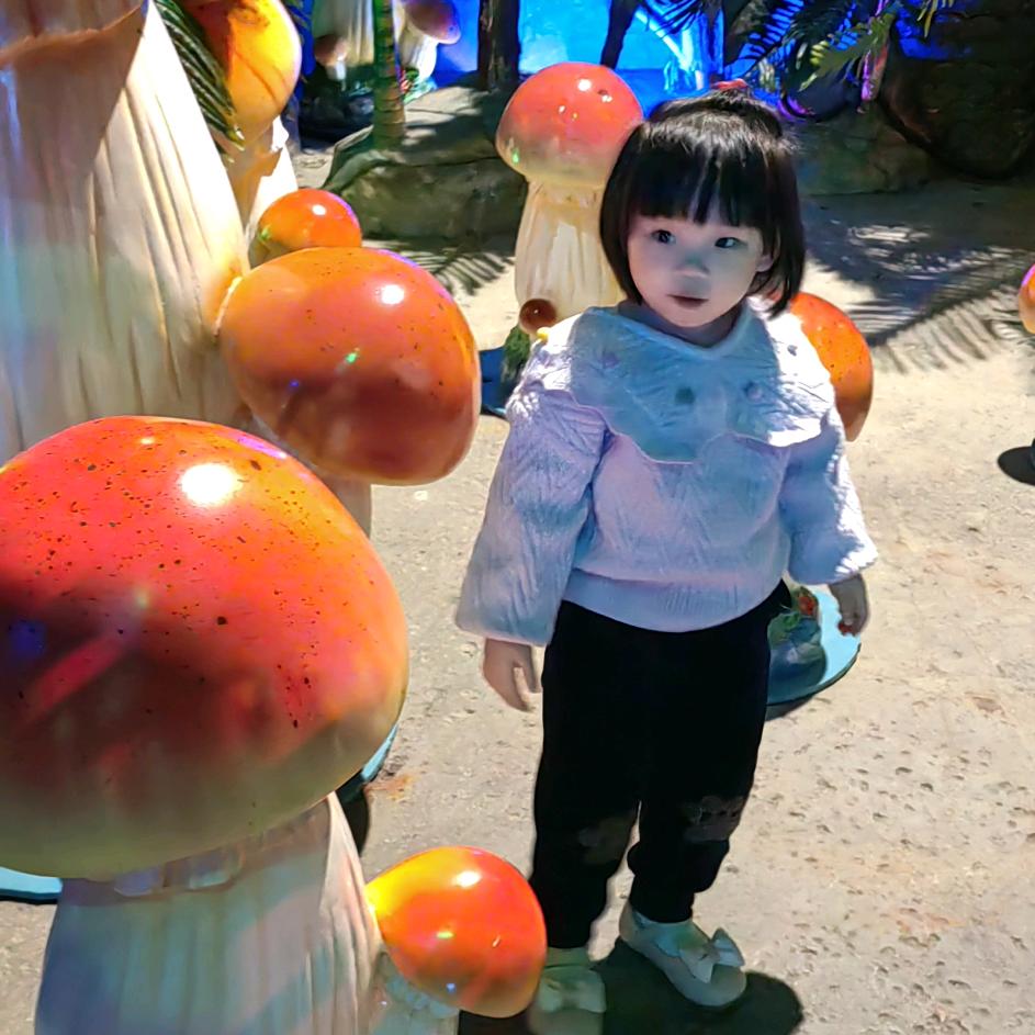 二姐吖