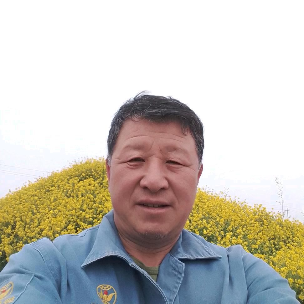 爱拼才会赢！
