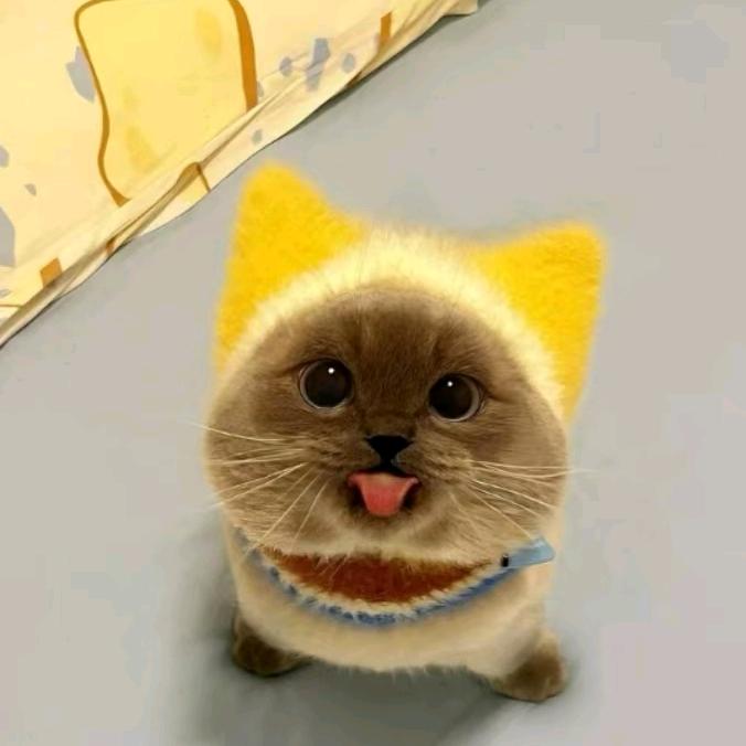 鸡翅尖