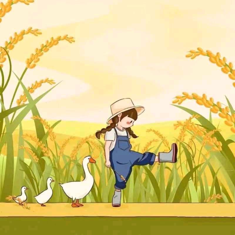 凯旋归来