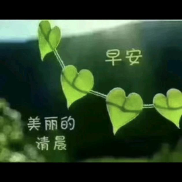 苗曼堂纤体塑型(南苑小区店)专用号