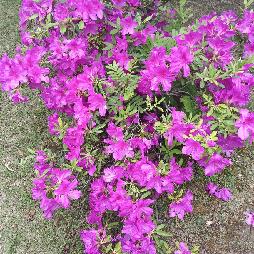 开心快乐每一天