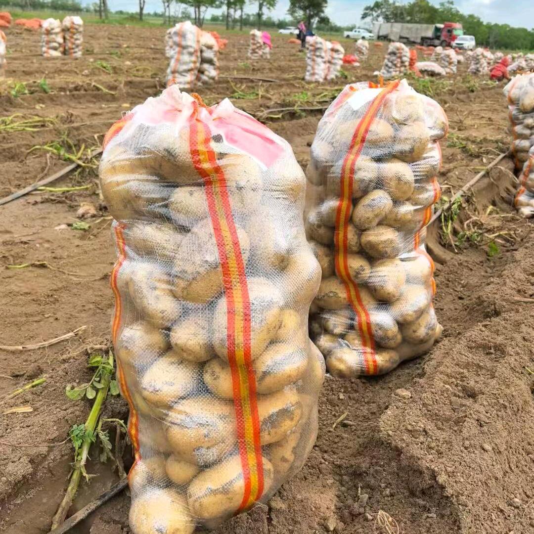 商农严选蔬菜小铺