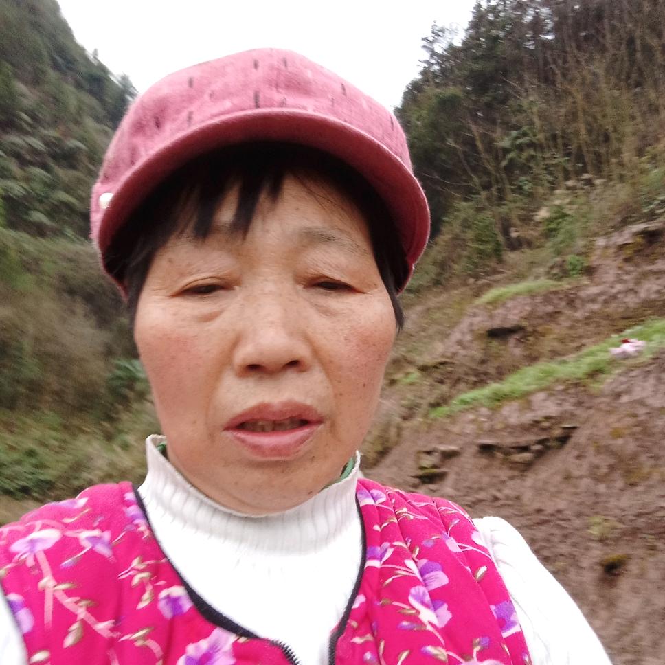 农村谢姐（每天18:30准时开播）