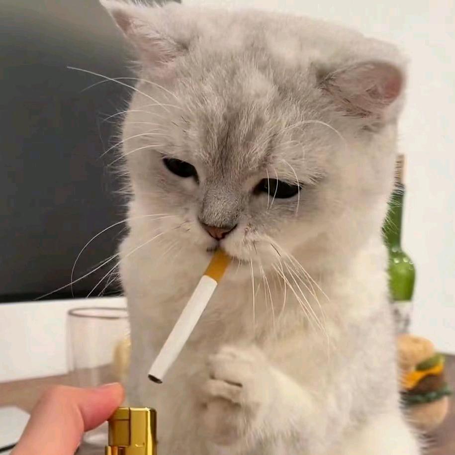 记忆陷入苦海