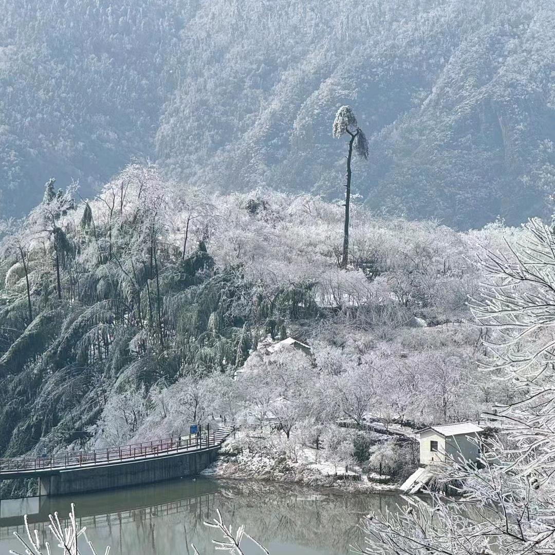大大明白
