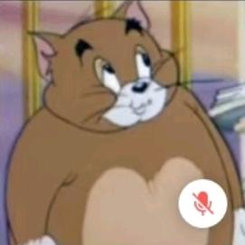肥猫猫肥肥猫猫猫肥肥猫猫