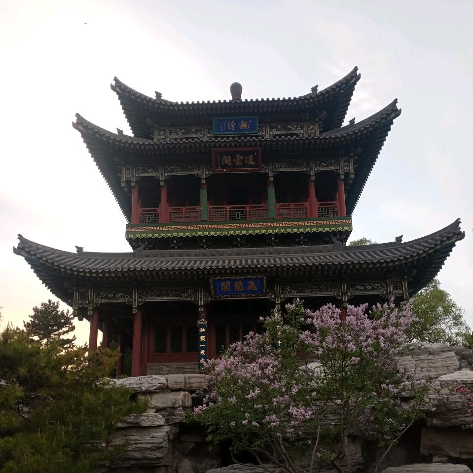 枫枫🇨🇳