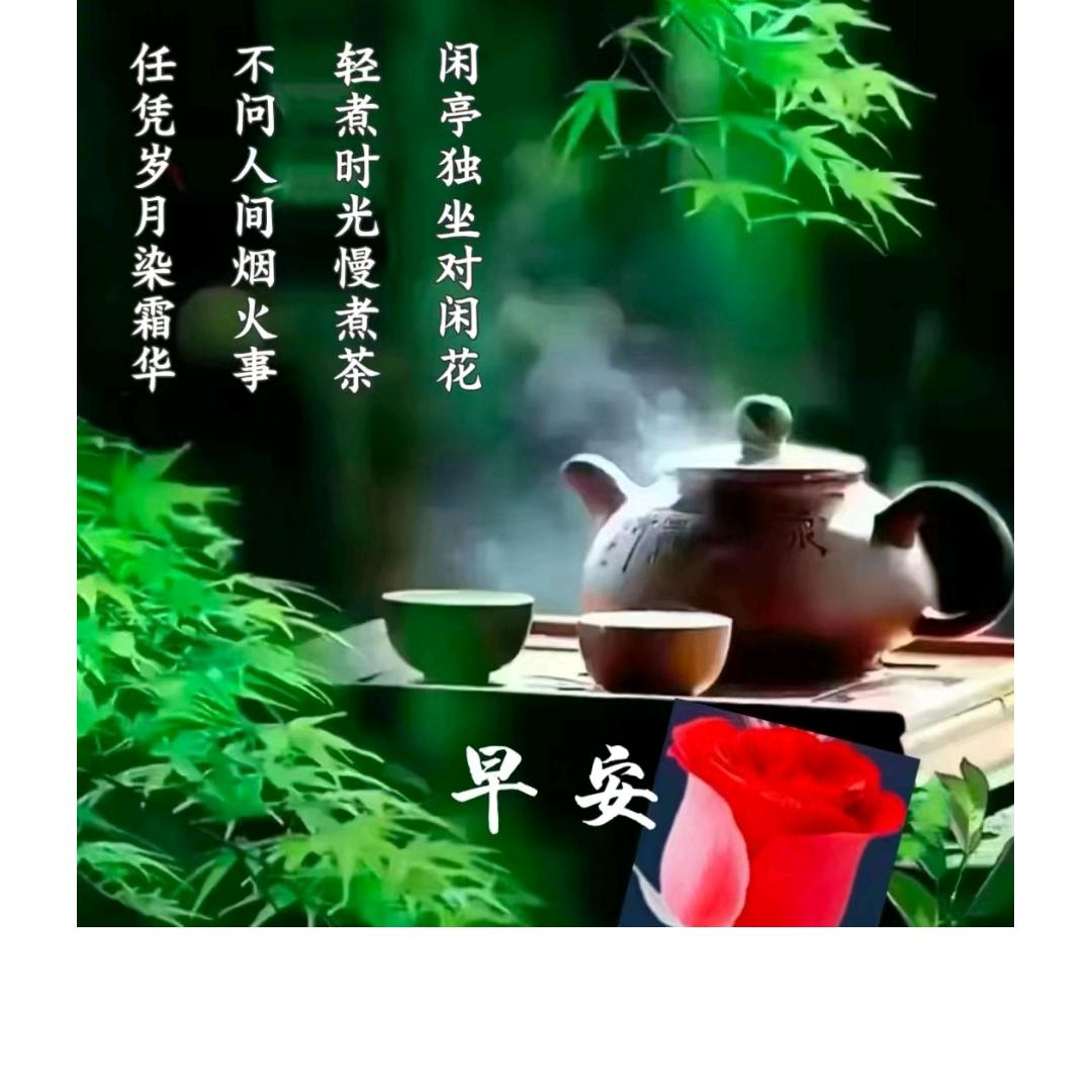 风雨平生无媚骨