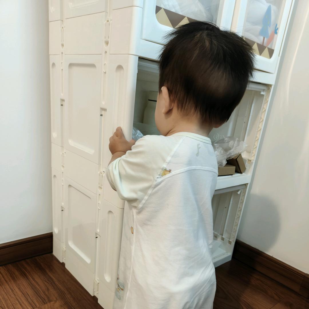 猪猪养娃