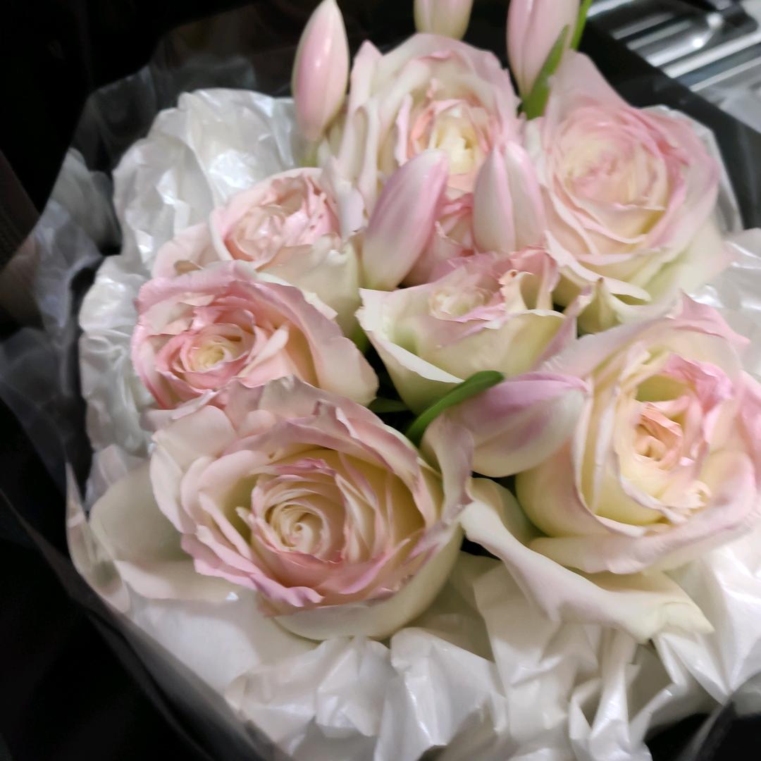 诗情画意(FewMinutes)