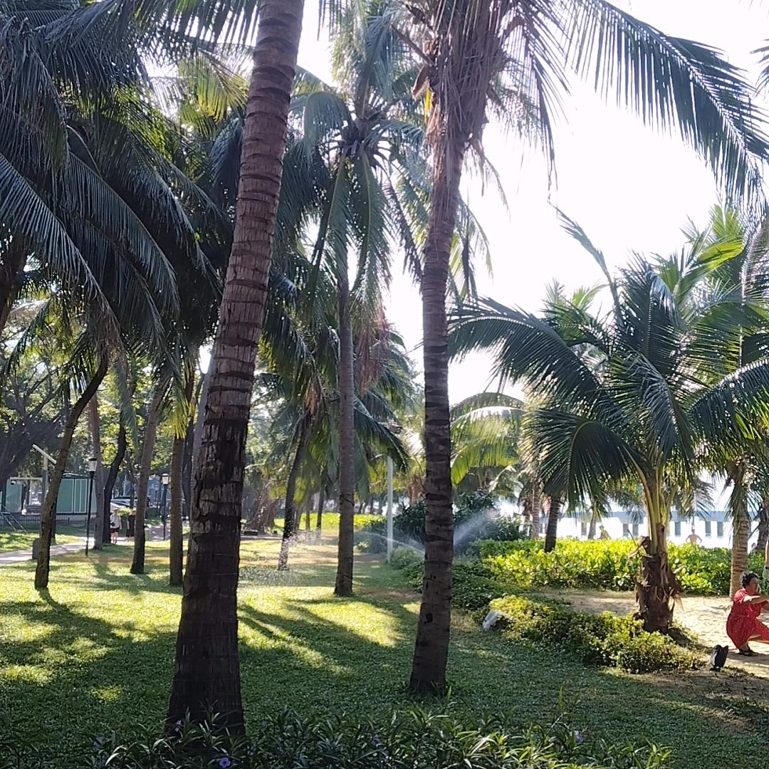 风里雨里，我在等你