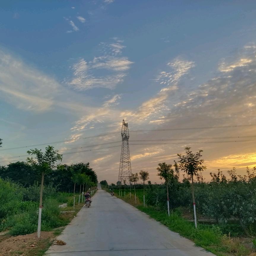 892828883