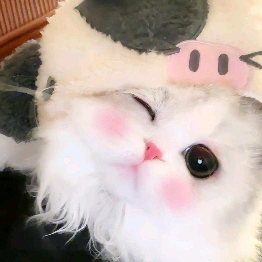 白菜汤.