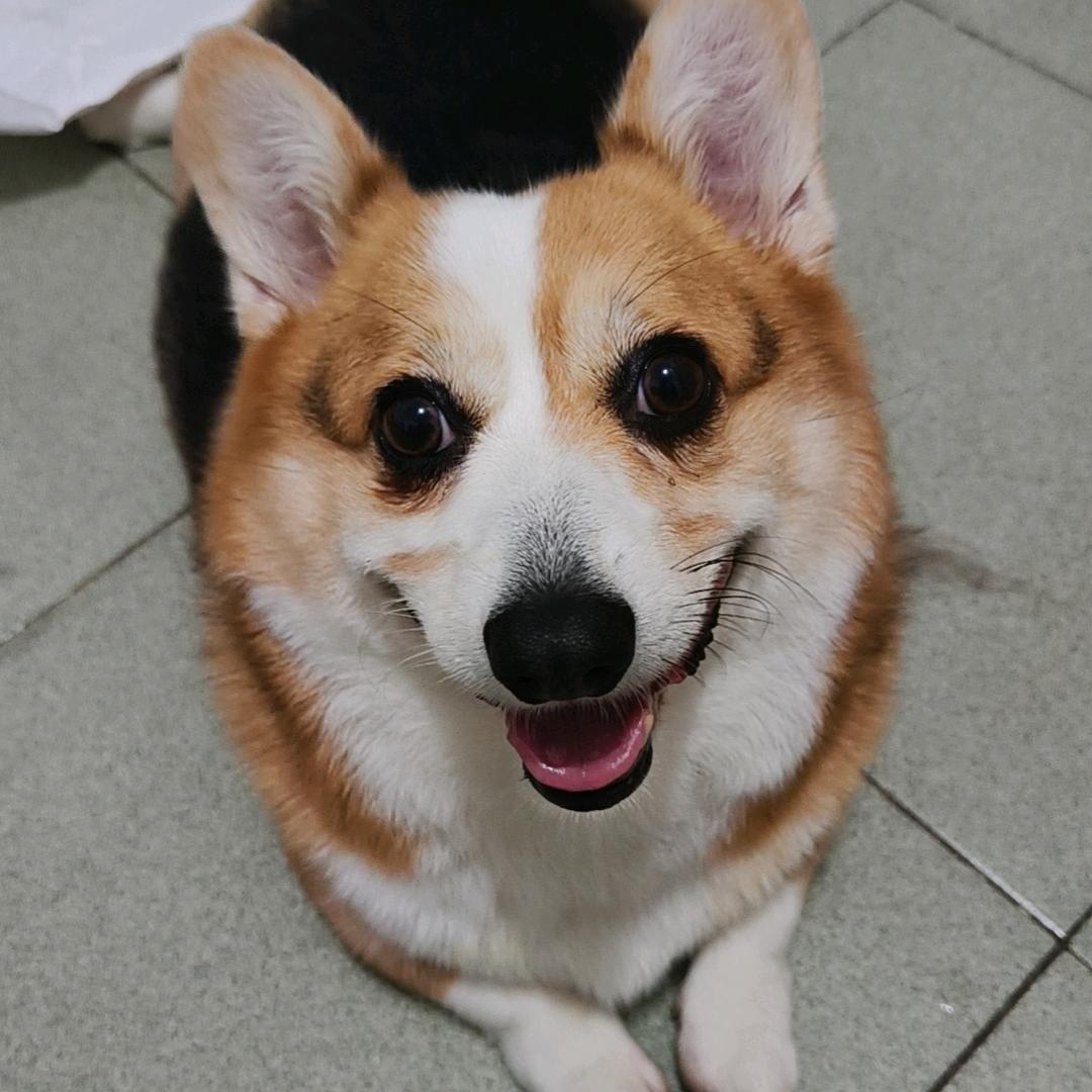 你很特别