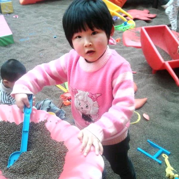 杨风衣梦
