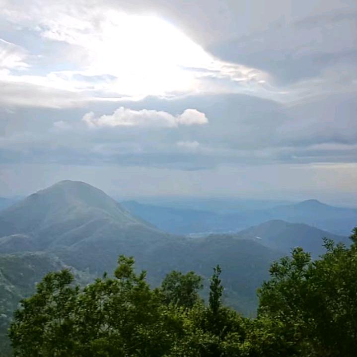 心若尘寂寞如雪