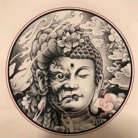 王金龙