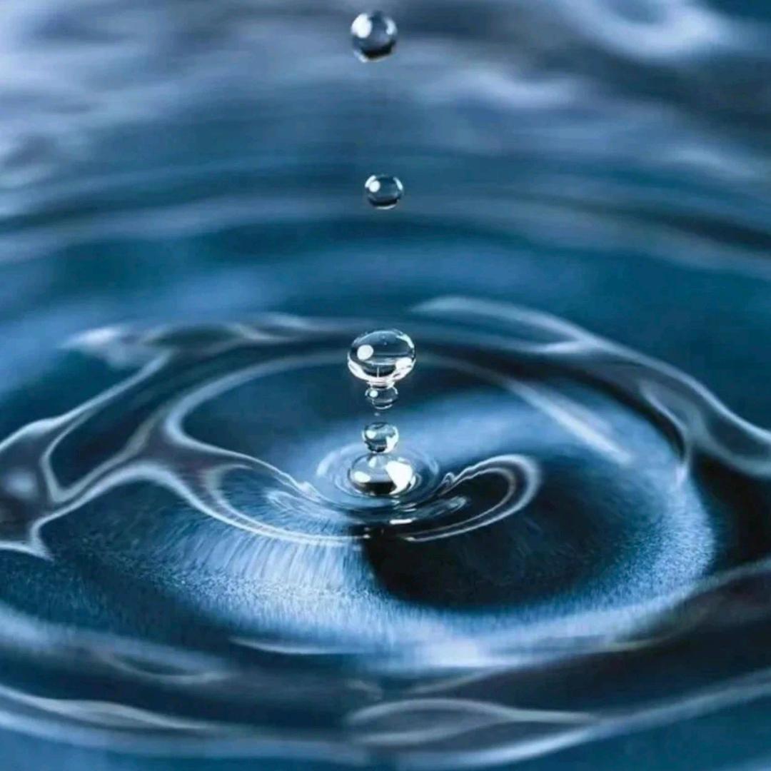 随缘自在0自在随缘