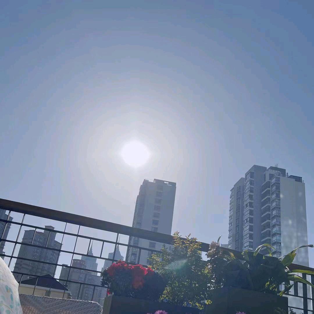 🐰浮夸🏂🌙☯️