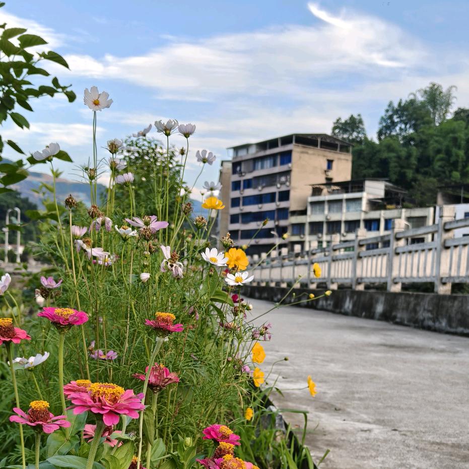 希望你每一天都开心