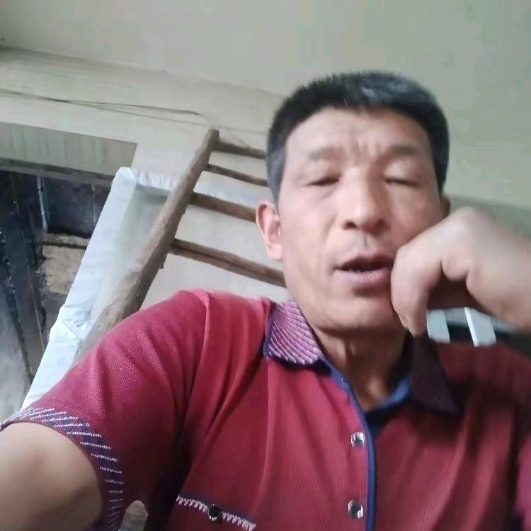 随遇而安婉儿666