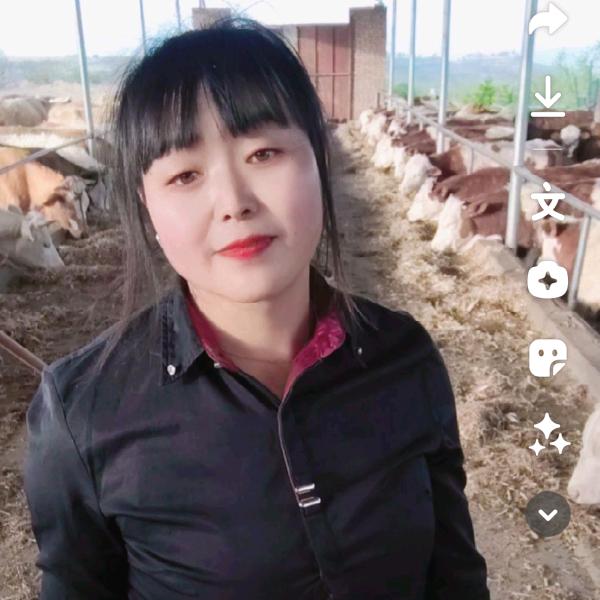 刘姐和牛