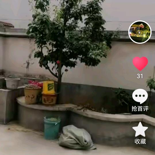 情空