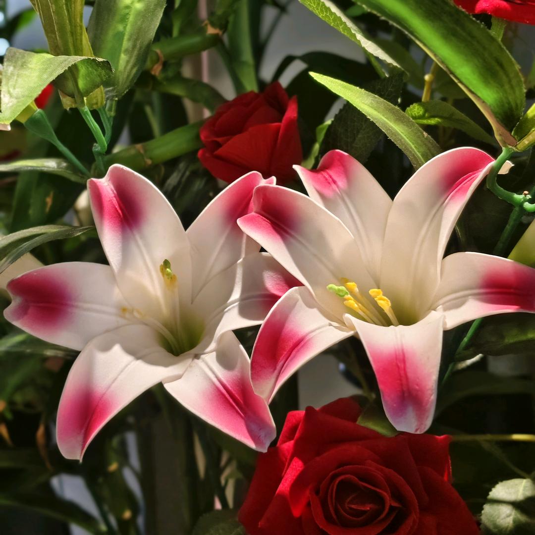 ༄༅静心❀如意@༄༅