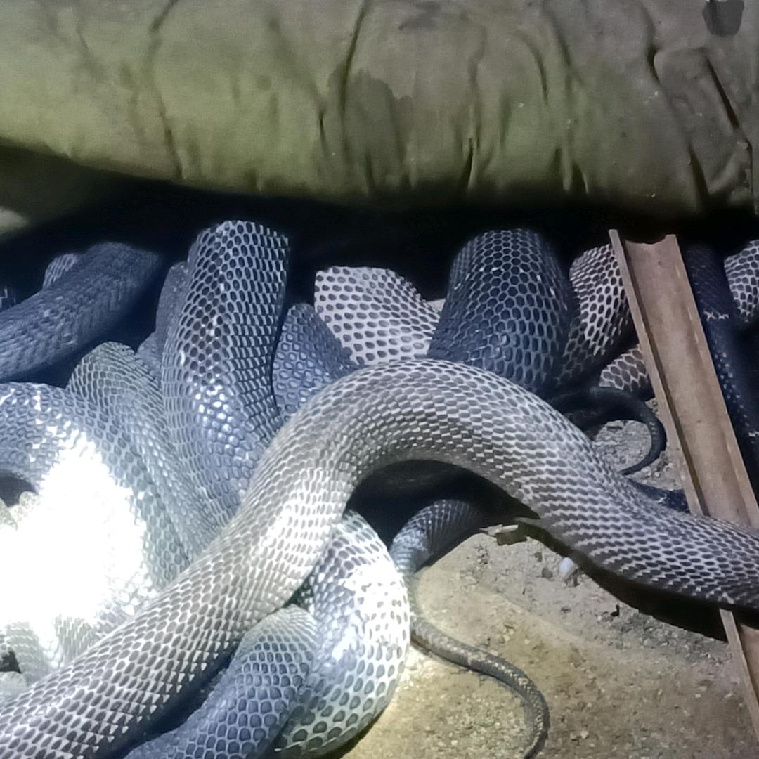 广东佛山上门收购，商品档口直销批发。