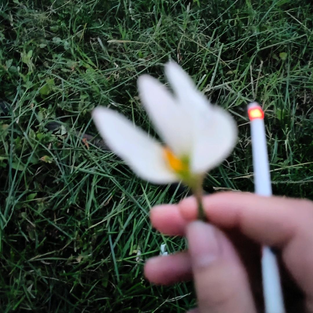 小小的纸团子