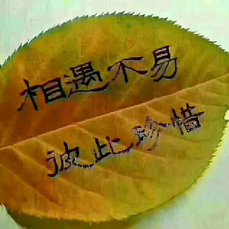 半点心