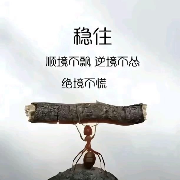 愿你涅槃重生🙏