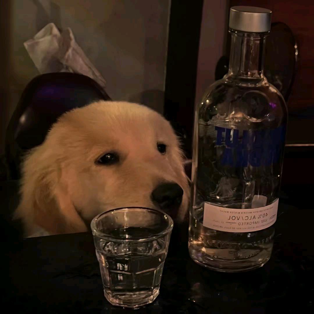 普通許